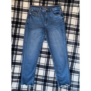 American Eagle Outfitters High Rise Mom Jeans